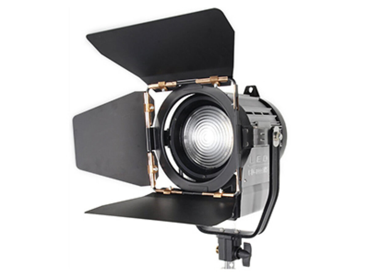 CD-1000WS Daylight LED Fresnel
