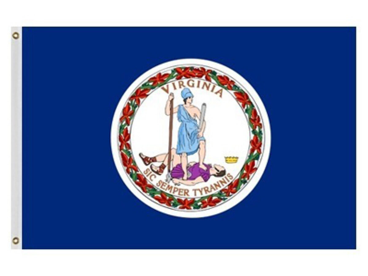 VA Flag - 10'x15'
